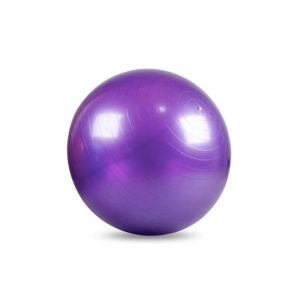 Stabillity Ball with your logo printed